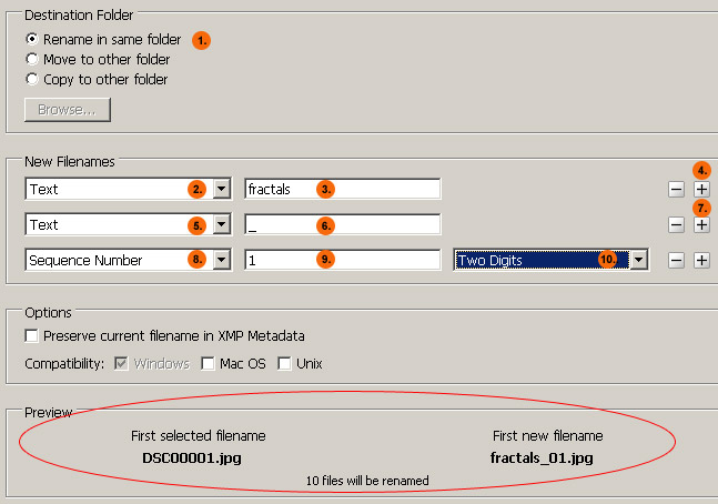 Custom File Name Batch Processing with Bridge