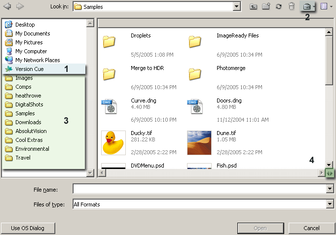 Use Adobe Dialog