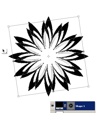 Create your own Custom Exotic Shapes