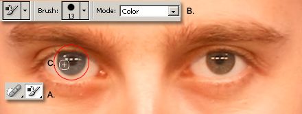 Replace Eye Color