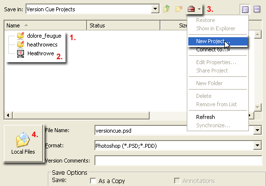 Version Cue Project (File Versioning/Management)