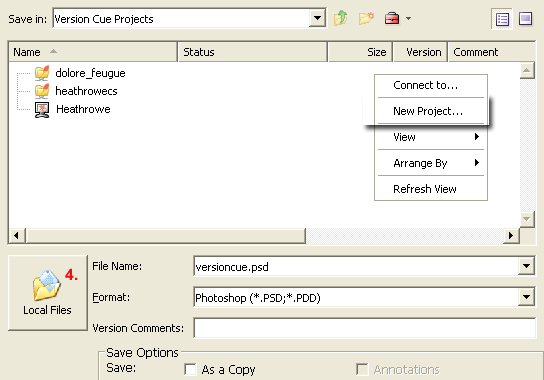 Version Cue Project (File Versioning/Management)