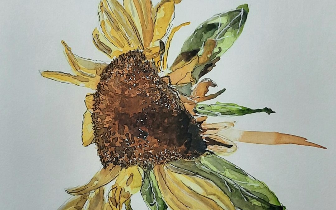 watercolor-Suntastic Sunflower