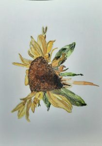 watercolor-Suntastic Sunflower