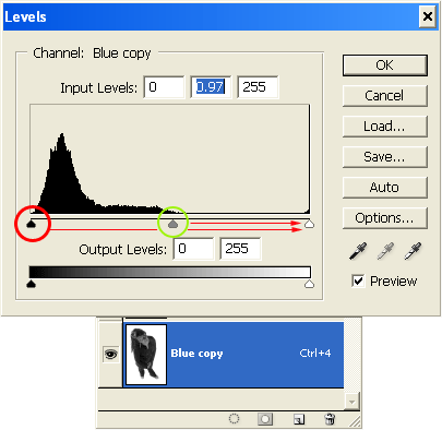 Creating Vector Silhouettes & Outlines